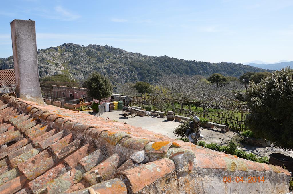 Agriturismo Costiolu Bauernhof *